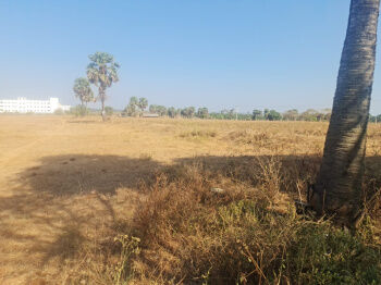  Agricultural Land for Sale in Pollachi, Coimbatore