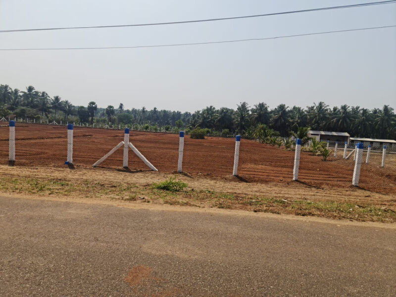  Agricultural Land 2 Acre for Sale in Thamaraikulam, Theni