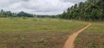  Agricultural Land for Sale in Gopalapuram, Chennai