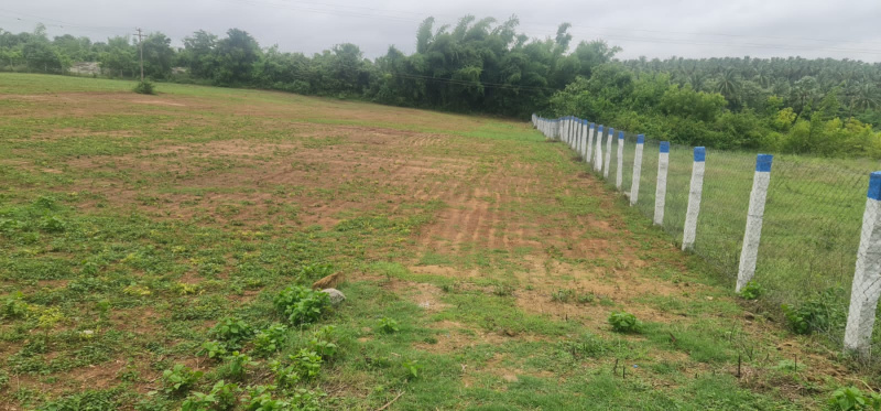 Agricultural Land 38 Cent for Sale in