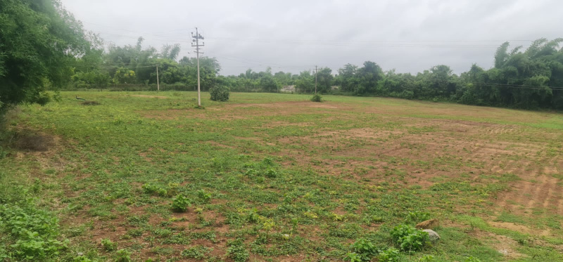 Agricultural Land 62 Cent for Sale in
