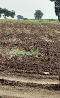  Agricultural Land for Sale in Nawabpet, Vikarabad