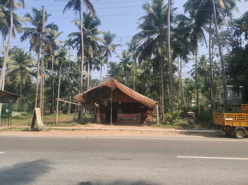  Commercial Land 8 Cent for Sale in Balussery, Kozhikode