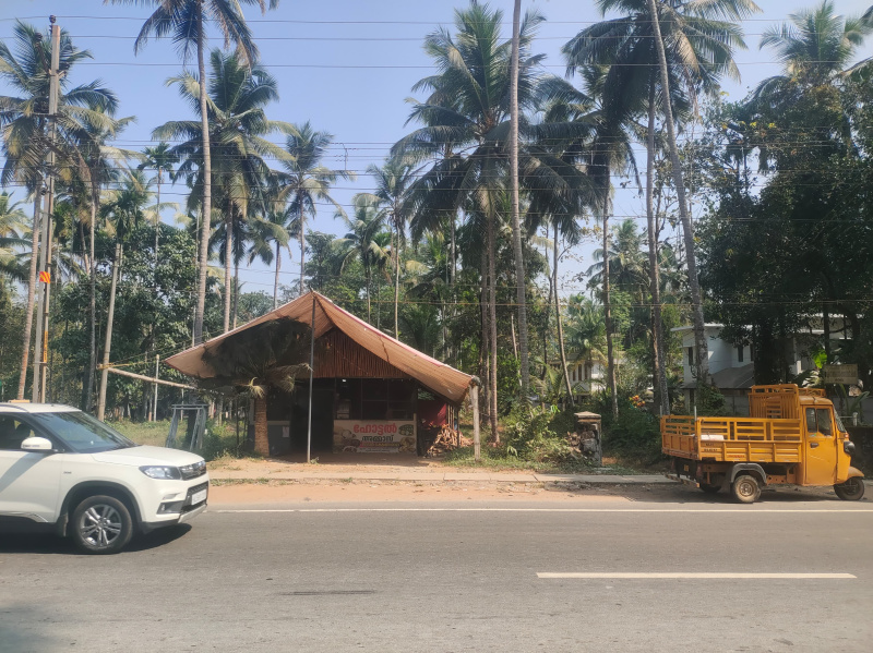  Commercial Land 8 Cent for Sale in Balussery, Kozhikode