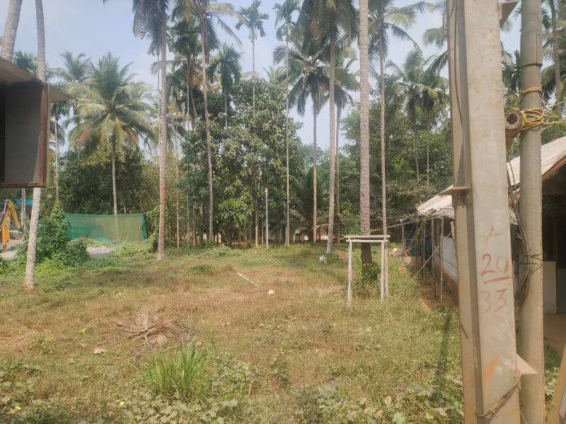  Commercial Land 8 Cent for Sale in Balussery, Kozhikode