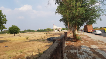  Agricultural Land for Sale in Adalaj, Gandhinagar