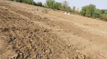  Agricultural Land for Sale in Limbadiya, Gandhinagar