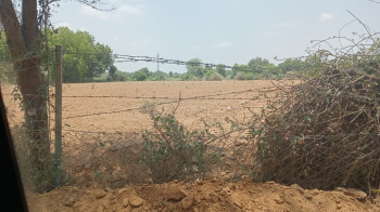  Agricultural Land for Sale in Gandhi Nagar, Gandhinagar