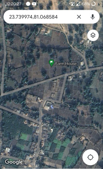  Agricultural Land for Sale in Bandhavgarh National Park, Umaria