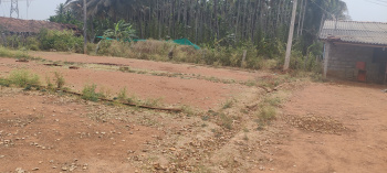  Commercial Land for Sale in Tarikere, Chikmagalur