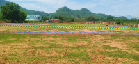  Residential Plot for Sale in Rayagada, Rayagada