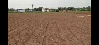  Agricultural Land for Sale in Bethamcheria, Kurnool