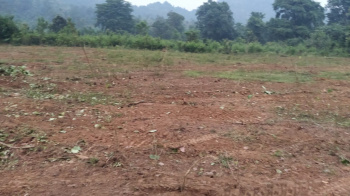  Agricultural Land for Sale in Kantamal, Boudh