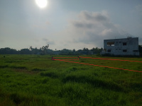  Residential Plot for Sale in Madhavapatnam, Kakinada