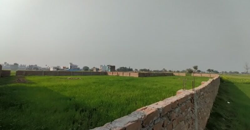  Agricultural Land 14291 Sq.ft. for Sale in Janipur, Patna
