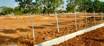  Residential Plot for Sale in Kuruda, Baleswar