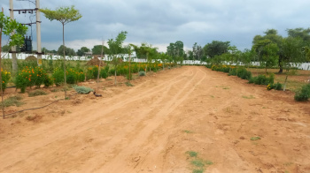  Residential Plot for Sale in Kuruda, Baleswar