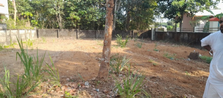  Residential Plot 15 Cent for Sale in Thiruvalla, Pathanamthitta