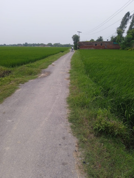  Residential Plot for Sale in Ramnagar, Varanasi