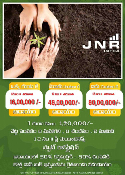  Agricultural Land for Sale in Narayankhed, Sangareddy