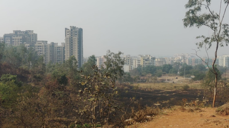  Agricultural Land 165 Acre for Sale in Ambernath West, Thane