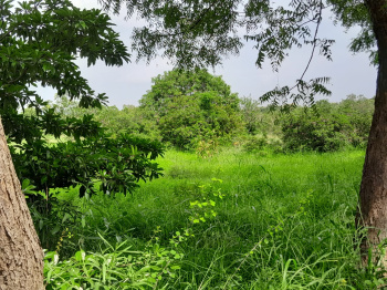  Residential Plot for Sale in Saravanampatti, Coimbatore