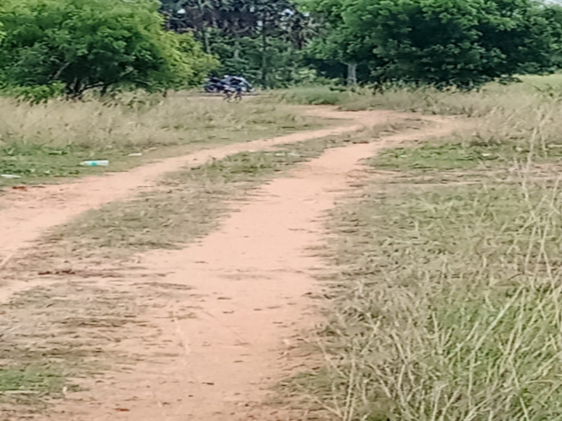  Residential Plot 1 Acre for Sale in Saravanampatti, Coimbatore