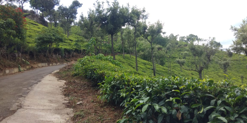  Agricultural Land 11 Acre for Sale in Attapadi, Palakkad