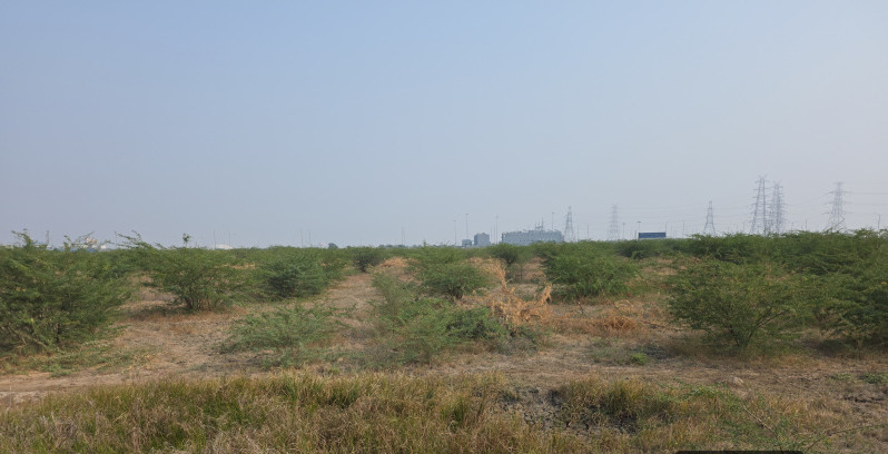  17727 Sq. Yards Industrial Land for Sale in Dholera, Ahmedabad
