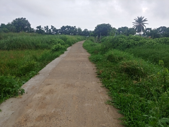  1500 Sq.ft. Residential Plot for Sale in Joka, Kolkata