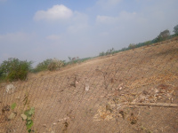 Agricultural Land for Sale in Edayar Palayam Road, Coimbatore