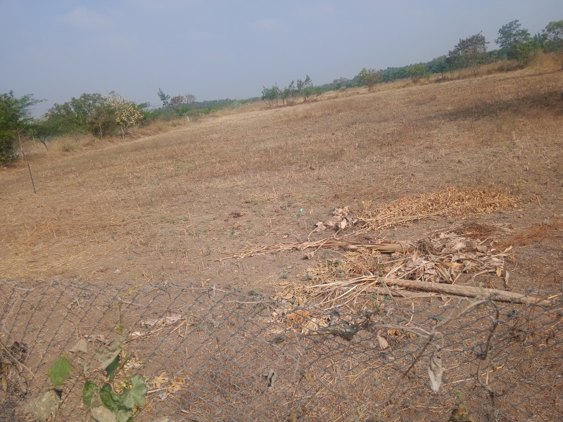 Agricultural Land 1 Acre for Sale in Edayar Palayam Road, Coimbatore