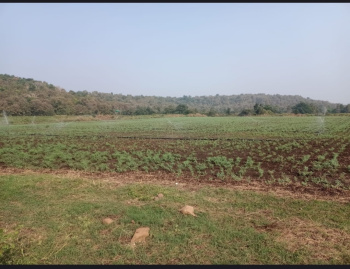  Agricultural Land for Sale in Hingna, Nagpur