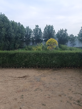  Agricultural Land for Sale in Sohna, Gurgaon