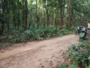  Residential Plot 12 Acre for Sale in Khandapada, Nayagarh