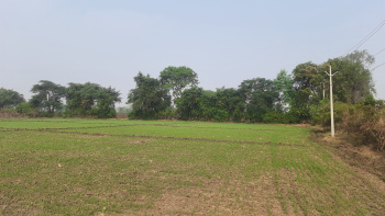  Agricultural Land for Sale in Itarsi, Hoshangabad