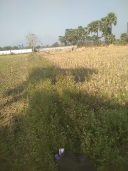  Agricultural Land for Sale in Srungavarapu Kota, Vizianagaram