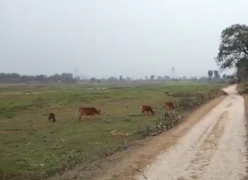  Agricultural Land for Sale in Babupara, Siliguri