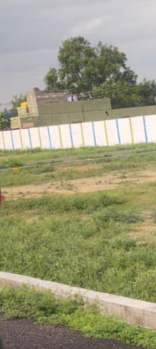  Residential Plot for Sale in Katpadi, Vellore