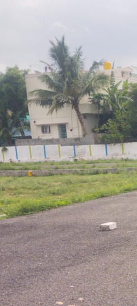  Residential Plot 1200 Sq.ft. for Sale in Katpadi, Vellore