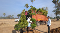  Agricultural Land for Sale in Patancheru, Hyderabad