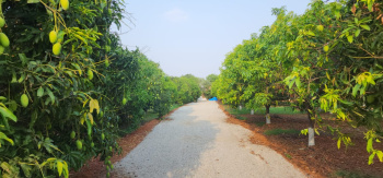  Residential Plot for Sale in Sadasivpet, Sangareddy