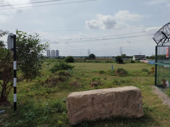  Agricultural Land for Rent in Dwarka Expressway, Gurgaon