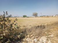 Agricultural Land for Sale in Farrukhnagar, Gurgaon
