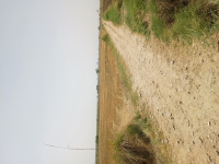  Agricultural Land for Sale in Sohna Palwal Road, Gurgaon