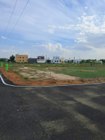  Residential Plot for Sale in Kadachanendhal, Madurai