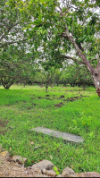  Agricultural Land for Sale in Melmaruvathur, Chennai