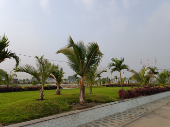  Residential Plot for Sale in Jakhya, Indore