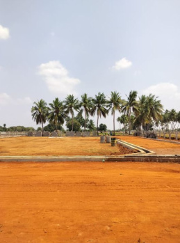  Residential Plot for Sale in Thuvakudi, Tiruchirappalli