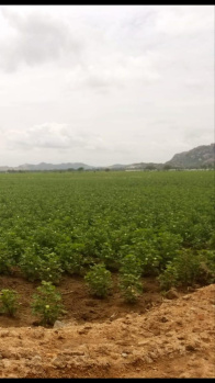  Agricultural Land for Sale in Yadagirigutta, Nalgonda